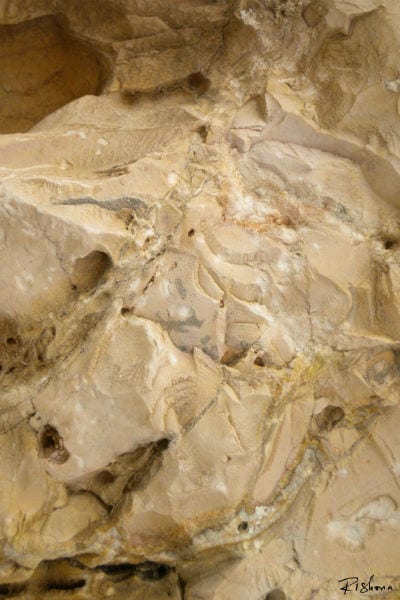 jerusalem Stone tami ellison