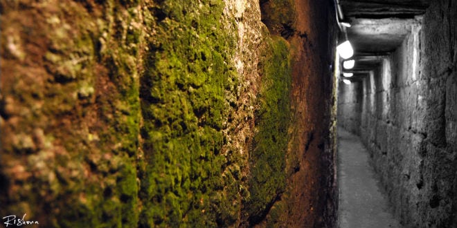 Ir David Tunnel tami ellison